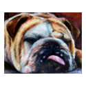 Exhausted (Bulldog) print