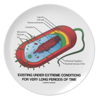 Existing Under Extreme Conditions Very Long Time Dinner Plate
