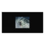 Exiting The Barrel Personalized Photo Card
