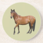 Exmoor Horse Coaster coasters