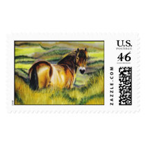 "Exmoor Pony" postage by paintonmypaws "Exmoor Pony" postage