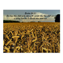Exodus 34:21 Six days thou shalt work, but on the Postcards