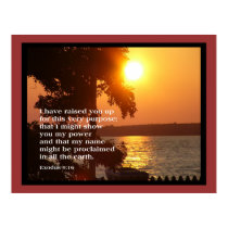 Exodus 9:16 LARGE POSTER posters by RanchLady Exodus 9:16 LARGE POSTER posters