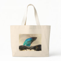 Exotic Betta Fish Closeup Bag