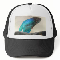 Exotic Betta Fish Closeup Mesh Hats
