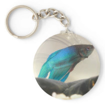 Exotic Betta Fish Closeup Keychains
