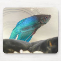 Exotic Betta Fish Closeup Mouse Pad