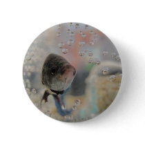 Exotic Betta Fish Looking At me Pin