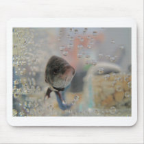 Exotic Betta Fish Looking At me Mouse Pads