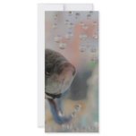 Exotic Betta Fish Looking At me Rack Card Design