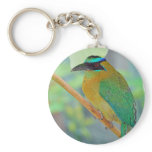 Exotic Bird Keychain