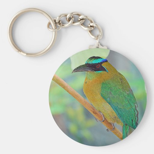 Exotic Bird Keychain