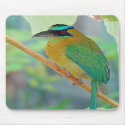 Exotic Bird Mousepad by nedell Exotic Bird Mousepad