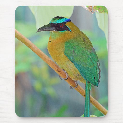 Exotic Bird Mousepad