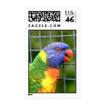 Exotic Bird Stamp