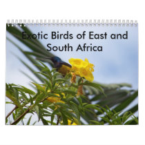 Exotic Birds of East and South Africa calendars