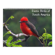 Exotic Birds of South America Calendar