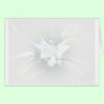 Exotic blossom Misted cards by hen2busi Exotic blossom Misted cards