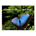 Exotic blue butterfly b) post cards