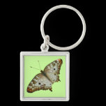 Exotic Butterfly Keychain