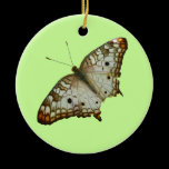Exotic Butterfly Ornament