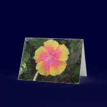 Exotic cards