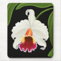 Exotic Cattleya Orchid Flower mousepads