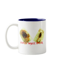 EXOTIC COLLECTIBLES mugs