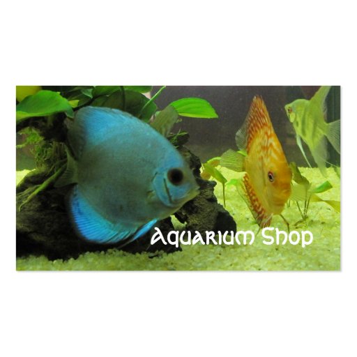 Exotic Fish Shop Business Card (front side)