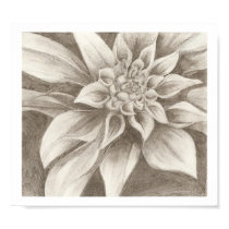 Exotic Flower Drawing posters by loewdesigns Exotic Flower Drawing posters