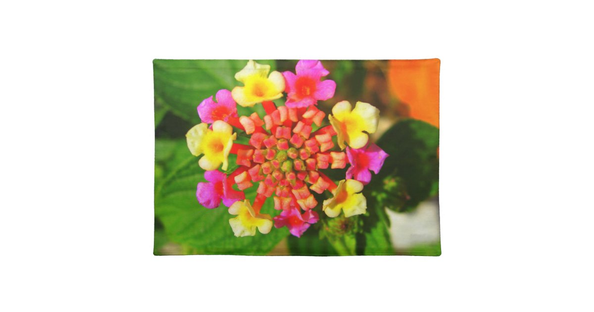 Exotic Flower Placemat Zazzle