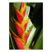 Exotic Flower with Salamander Card
