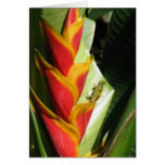 Exotic Flower with Salamander Card
