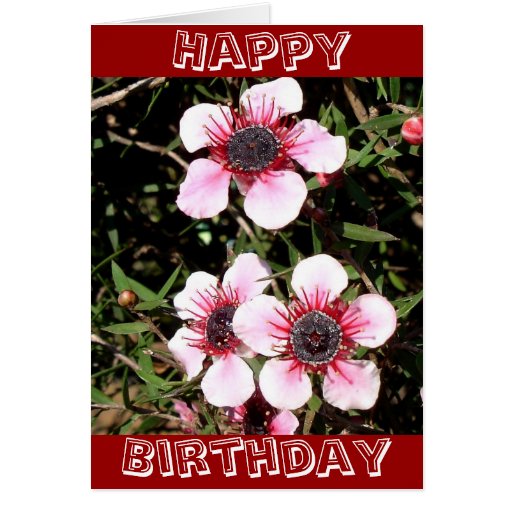 Exotic flowers birthday card