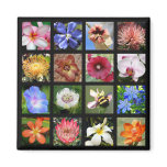 Exotic Flowers from Around the World Fridge Magnets