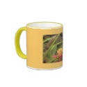 Exotic Flowers of Hawaii mugs