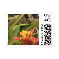 Exotic Flowers of Hawaii postage