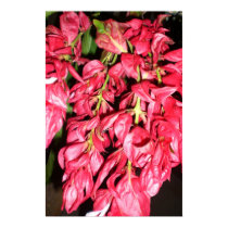 Exotic Flowers posters