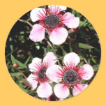 Exotic flowers round sticker