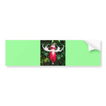 Exotic Fuschia bumper stickers by catchthenextwave Exotic Fuschia bumper stickers