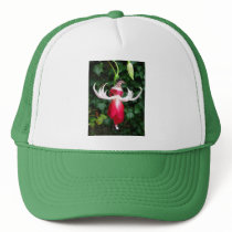 Exotic Fuschia hats by catchthenextwave Exotic Fuschia hats