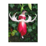 Exotic Fuschia Post Cards