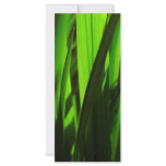 exotic grass - green custom rack card