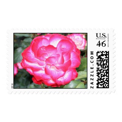 Exotic Hot Pink Flower by spollard01