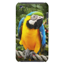 Exotic Macaw Parrot Case-Mate iPod Touch Case