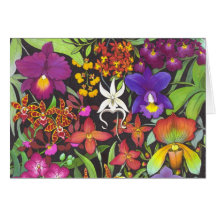 Exotic Orchids Card