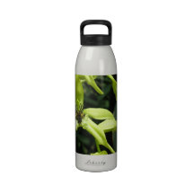 Exotic Orchids Water Bottle