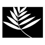 Exotic Palm Branch Postcard postcards