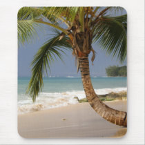 exotic palm tree on beach mousepad