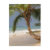 beach, sand, palm, tree, ocean, sea, seaside,